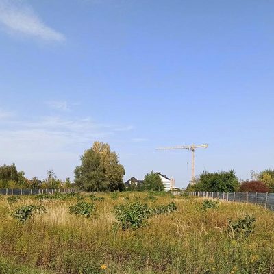 Marzec 2021r. - zdjęcia z budowy Ogrodów Szymborskiej