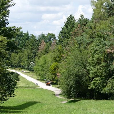 Górka Skarbowców miejsce zimowych zabaw