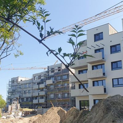 Racławicka Platinum Grabiszynek Wrocław - widok na patio, budowa maj 2023r.